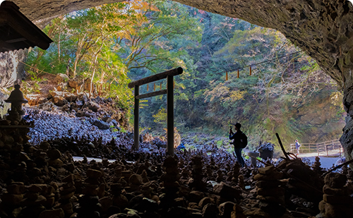 画像・動画ダウンロード