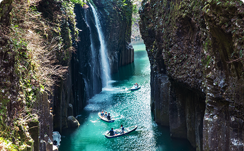 画像提供・原稿校正依頼