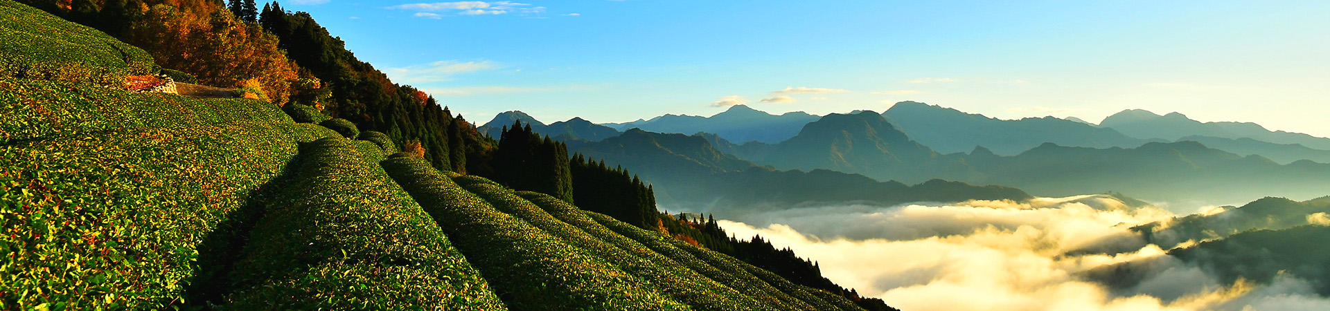 旅行会社・観光事業者・メディアのみなさまへ