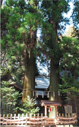 写真：高千穂神社
