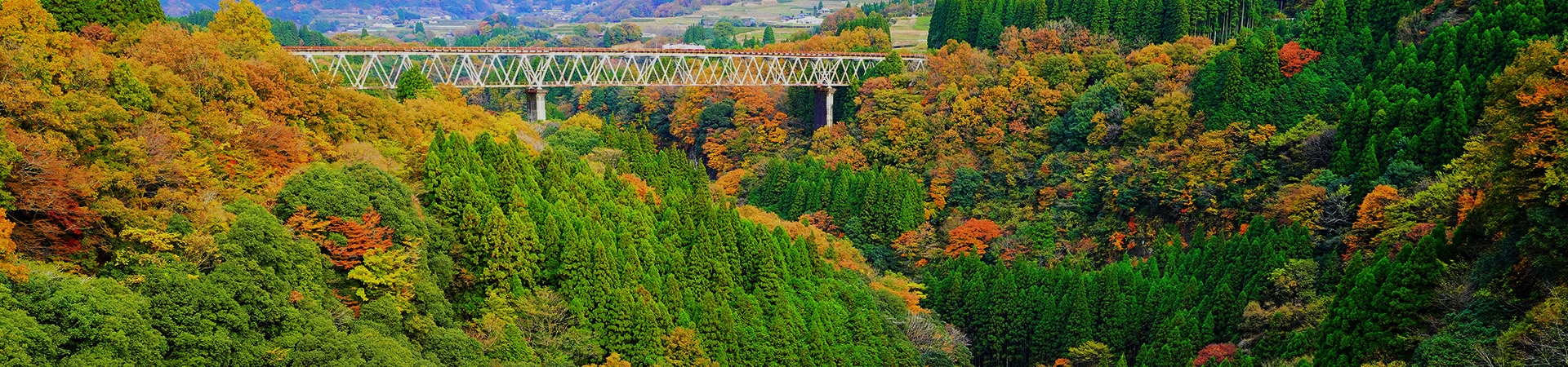 プライバシーポリシー