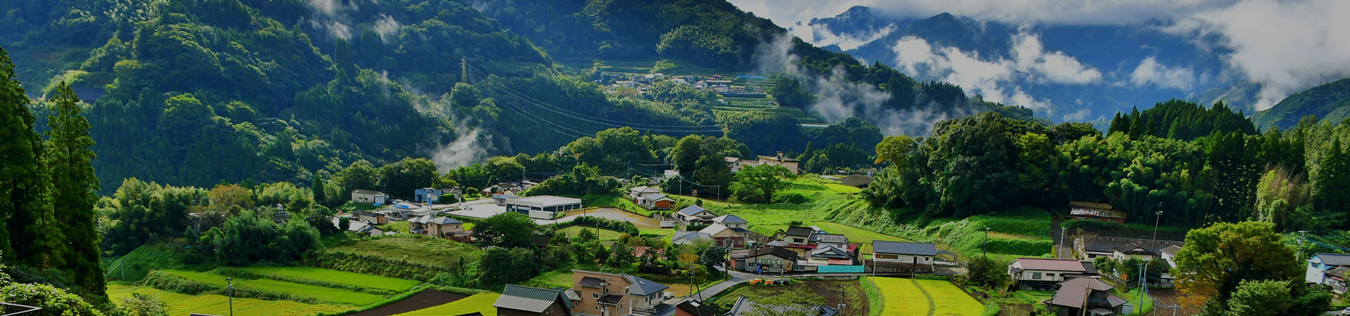 旅のお役立ち情報